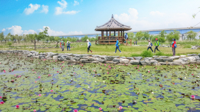 인생삼락 갈맷길. ‘부산의아름다운길’ 제공