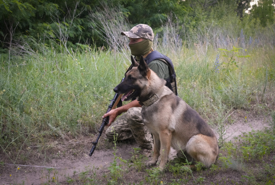 우크라니아군이 14일 동부 도네츠크 지역에서 정찰견과 함께 러시아군의 동태를 살피고 있다. AP연합뉴스