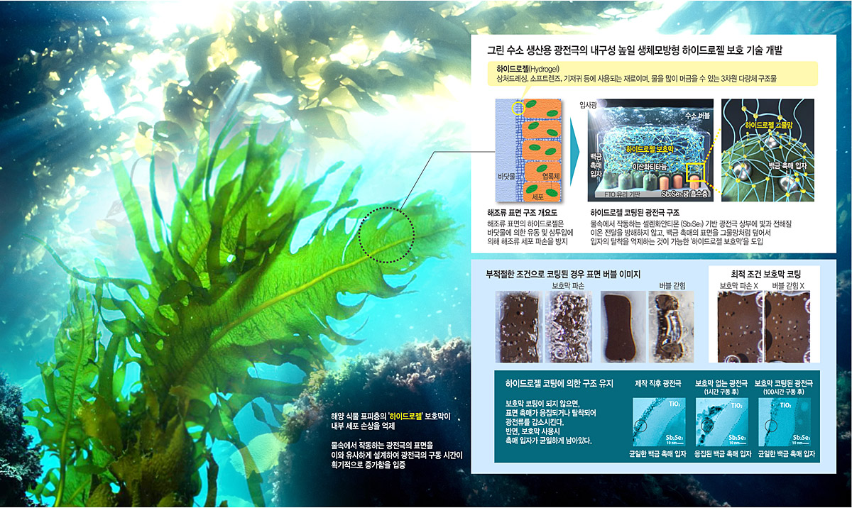 그래픽 = 송재우 기자