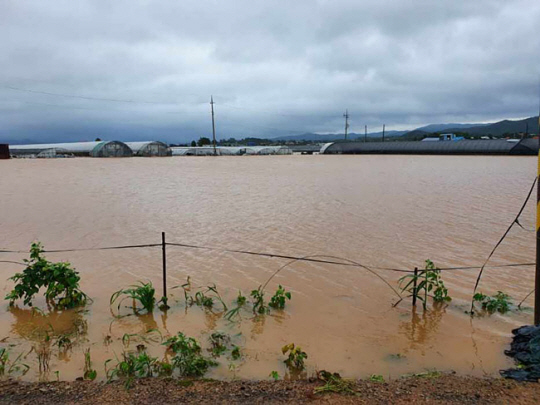 30일 오전 충남 서산시 해미면 농경지가 물에 침수돼 있다. 연합뉴스