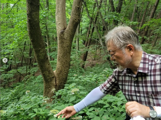 문재인 전 대통령은 지난 13일 경남 양산 평산마을 사저 인근의 영축산에서 산행을 하는 모습의 사진을 자신의 인스타그램 계정에 올렸다. 인스타그램 캡처