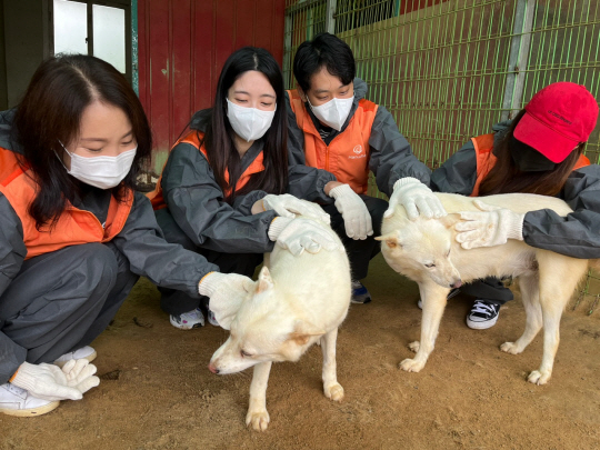 갤러리아백화점 ‘PARAN 봉사단’이 21일 경기도 용인시에 위치한 동물단체 ‘행강’ 보호소를 방문해 유기견 봉사활동을 하고 있다. 갤러리아백화점 제공.