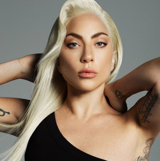 레이디 가가 인스타그램 캡처