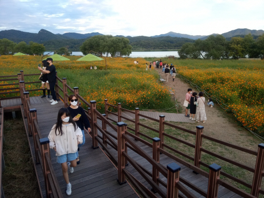 경기 남양주시 조안면 북한강변 ‘물의 정원’에서 시민들이 꽃을 구경하며 산책을 즐기고 있다.