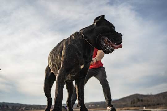 게티이미지뱅크
