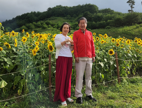 홍준표 대구시장 페이스북 캡처