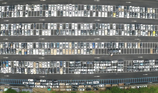 중부지방 집중호우로 발생한 차량 피해 추정손해액이 1400억원을 돌파한 가운데 14일 오전 경기 과천시 서울대공원 주차장에 수도권 침수차량이 모여있다. 뉴시스