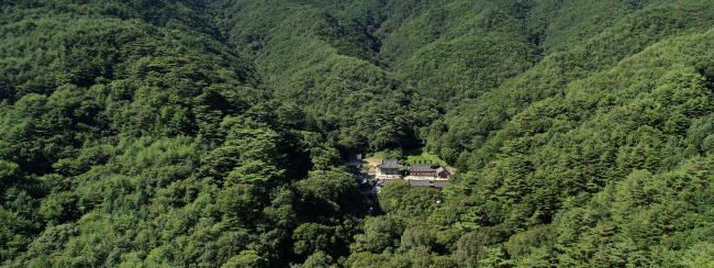 각화산 아래 거대한 초록의 숲 한가운데 자리 잡은 절집 각화사. 각화사는 조선왕조실록을 보관하던 태백산 사고의 수호사찰이었다. 절집 뒤쪽의 원시림에 가까운 숲으로 들어 이정표 하나 없는 가파른 산길 너머에 태백산 사고 터가 있다.