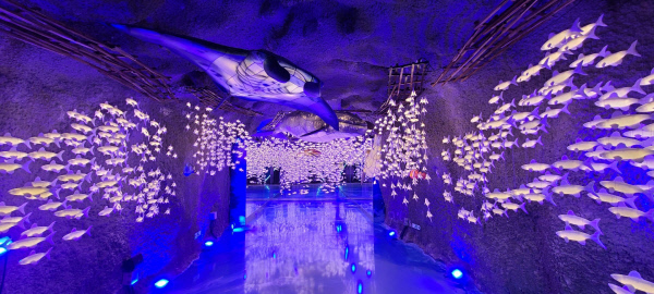 울산 남구 신정동 ‘태화강 동굴피아’에 조성된 고래유등관. 고래와 정어리떼 등을 형상화한 유등이 환상적인 분위기를 연출하고 있다. 울산남구도시관리공단 제공