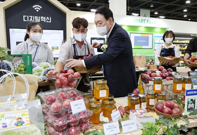 윤석열 대통령이 24일 오전 서울 서초구 aT센터에서 열린 2022 창농·귀농 고향사랑 박람회를 방문, 청년농부가 생산한 백향과를 살펴보고 있다. 연합뉴스