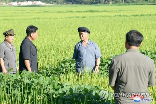 북한 김덕훈 내각총리가 수안군, 신계군, 신포시 ,홍원군, 함주군, 천내군 등 황해북도, 함경남도, 강원도안의 여러 농장에서 농사실태를 구체적으로 알아보았다고 조선중앙통신이 21일 보도했다. 조선중앙통신／연합뉴스