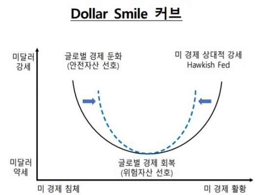 달러 스마일 커브. 한국은행 제공