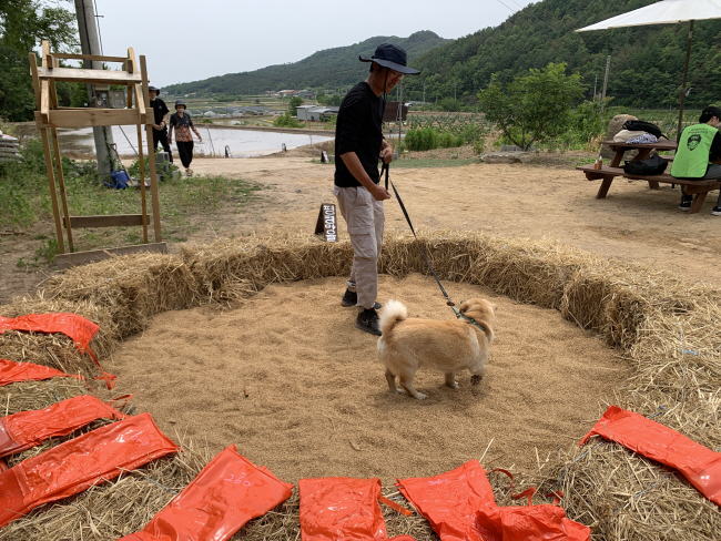 경북 의성군의 시범투어 ‘댕댕이랑 시골여행’에 참가한 방문객이 반려견과 ‘왕겨풀장’에서 후각과 촉각을 사용한 놀이를 하고 있다.  평평마을협동조합 제공