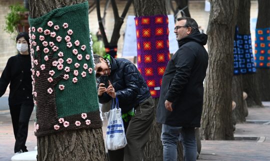 10일 서울 중구 덕수궁 돌담길 가로수에 형형색색의 뜨개옷이 입혀져 있다.