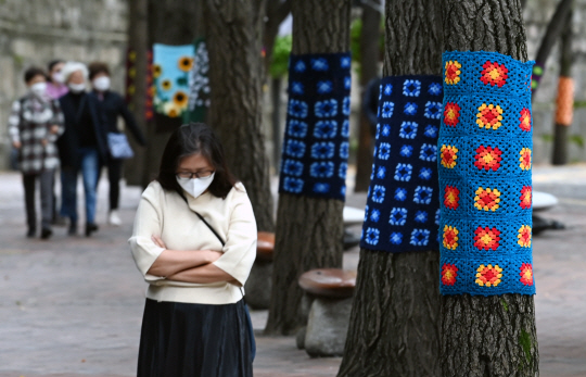 서울 아침 기온이 9도까지 떨어지는 등 쌀쌀한 날씨가 찾아온 10일 서울 중구 덕수궁 돌담길 가로수에 형형색색의 뜨개옷이 입혀져 있다.