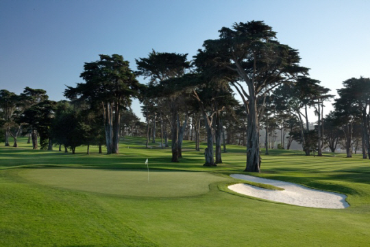 2023년 LPGA투어 인터내셔널크라운이 열릴 미국 캘리포니아주 샌프란시스코의 TPC하딩파크의 모습. TPC하딩파크 홈페이지 캡처