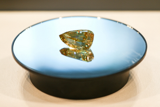 골든 카나리아. 로이터 연합뉴스