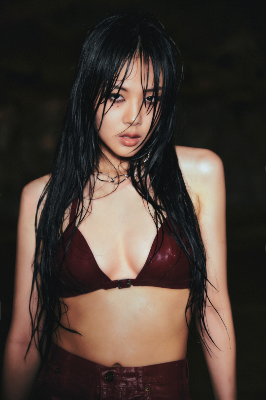 가수 비비