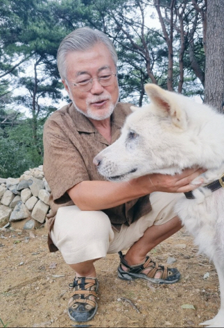 문재인 전 대통령과 반려견 풍산개의 다정한 모습. 문 전 대통령 딸 다혜 씨 트위터 캡처