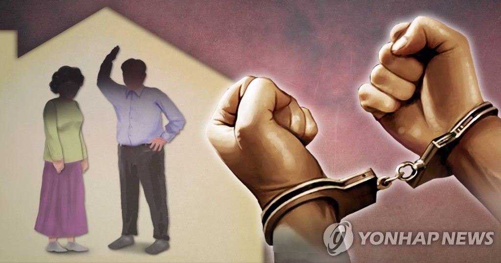 가정폭력 현행범 즉시 체포(PG)[이태호 제작] 사진합성·일러스트