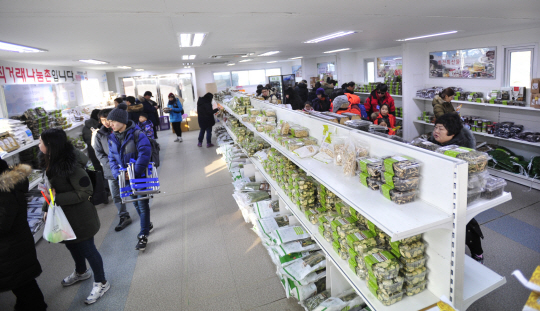 2019년 열린 얼음나라 화천산천어축제장에 설치된 농특산물 판매장 전경. 화천군청 제공