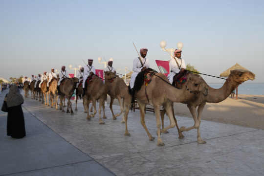 2022 카타르월드컵이 펼쳐지는 카타르 알 와크라 해변에서 지난 27일 관광객들을 위한 ‘낙타 퍼레이드’가 진행되고 있다. AP 연합뉴스