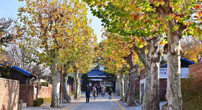 문화예술 공간 ‘테미오래’로 탈바꿈한 옛 충남지사 관사촌 골목.