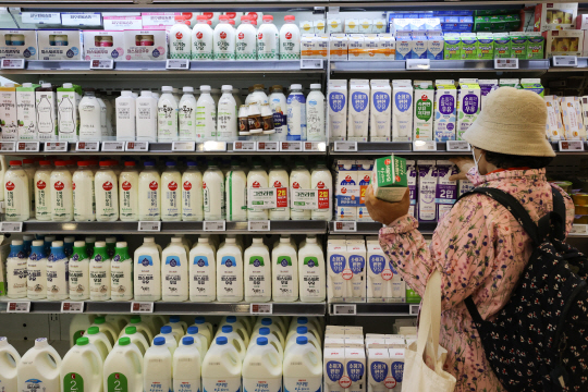 서울 시내 한 마트에 진열된 우유를 고르는 시민. 연합뉴스