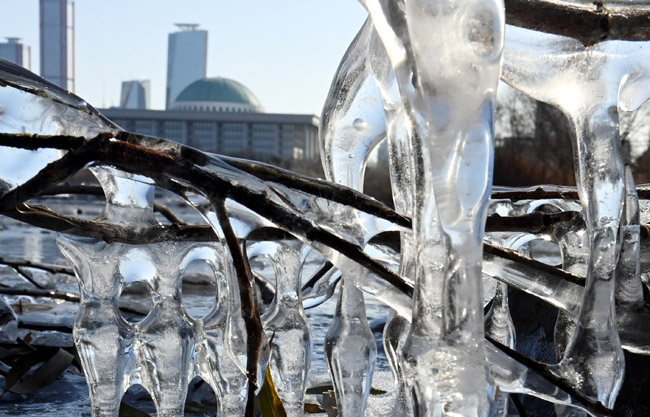 수도권 지역 한파특보가 발효된 18일 오전 서울 여의도 인근 한강변에 꽁꽁 언 고드름 너머로 국회가 보이고 있다. 박윤슬 기자