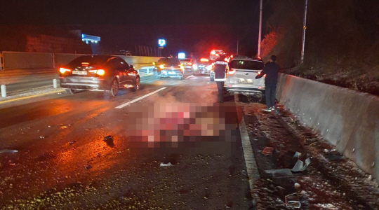 19일 충남 공주시 이인면 한 도로를 달리던 SUV와 충돌해 즉사한 말. 연합뉴스