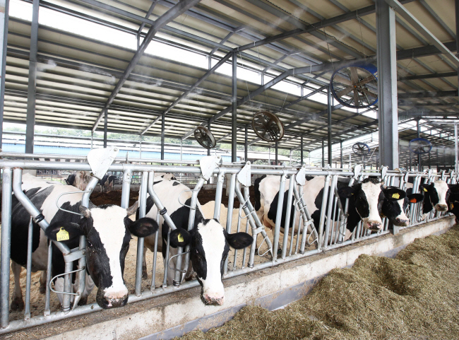 국내유통 개선하고 해외수출 확대… 낙농업계 “FTA 위기를 기회로”