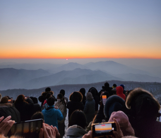 1일 오전 시민들이 강원 평창군 대관령면 발왕산(1458ｍ) 정상 전망대에서 동쪽 동해 바다에서 떠오르는 일출을 보며 가정의 안녕과 복을 기원하고 있다. 평창=조성진 기자