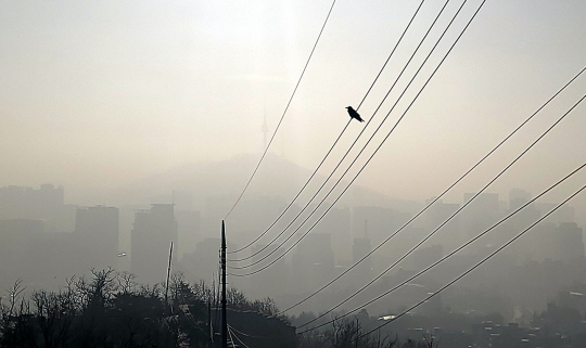 8일 오전 서울 종로구 인왕산 전깃줄에 앉은 까치 너머로 희뿌연 도심이 보인다.