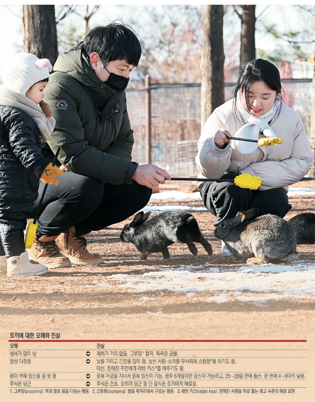 지난 15일 경기 안성 공도읍 안성팜랜드 ‘토끼 마을’을 찾은 한 가족이 물리기 방지용 막대인 ‘착한 손’으로 흑토끼를 쓰다듬으며 환하게 웃고 있다. 문호남 기자