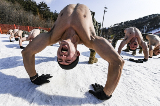 해병대는 이달 2일부터 다음달 6일까지 강원도 평창 산악종합훈련장 등에서 펼쳐지는 해병대 2사단 수색대대의 설한지훈련 모습을 23일 공개했다. 혹한의 날씨에 상의를 벗어 던진 해병대 수색부대가 체력단련의 일환으로 PT체조를 하는 모습. 해병대 제공