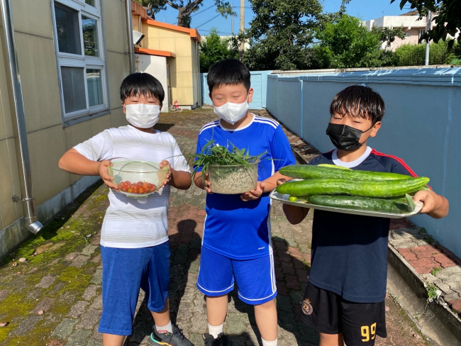경북 청도군 중앙초 학생들이 지난해 텃밭에서 재배한 채소를 들고 환하게 웃고 있다.  초록우산어린이재단 제공