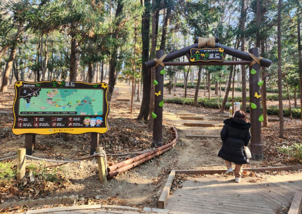서구 숲쎈로드. 부산시청 제공