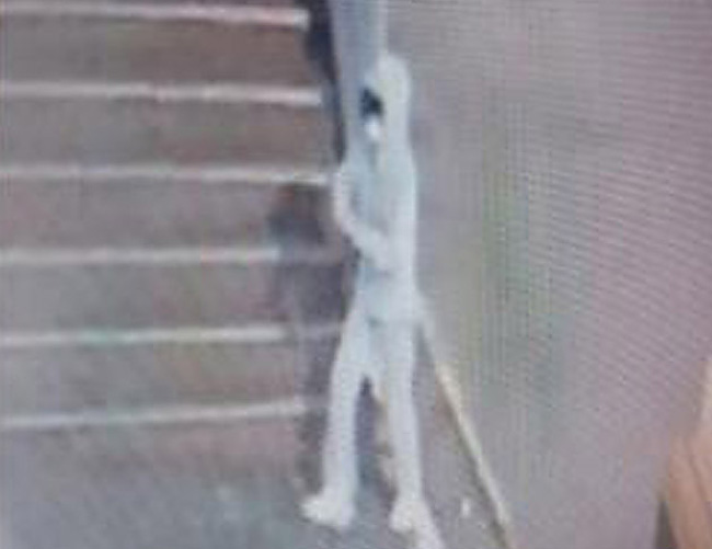 엿새 간 행방이 묘연했던 이채희 양이 서울 송파구 잠실역 롯데월드 인근 CCTV에서 포착된 모습. 경찰청 실종아동찾기센터 블로그 캡처