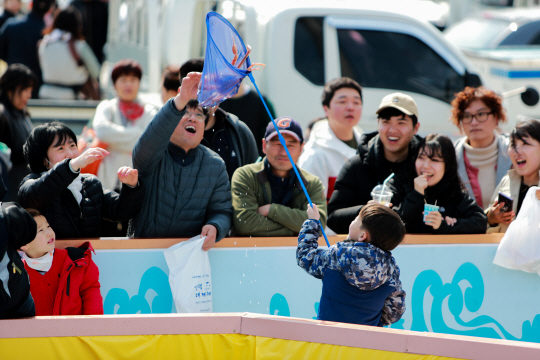 지난 2019년 열린 영덕대게축제에 참가한 한 어린이가 뜰채로 대게를 잡고 있다. 영덕군청 제공