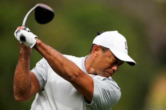 타이거 우즈. AP뉴시스