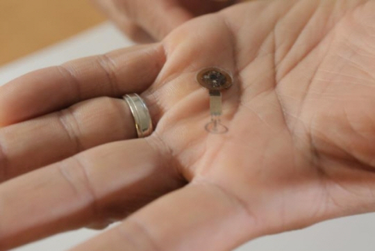 전자반창고. Northwestern University 제공·연합뉴스