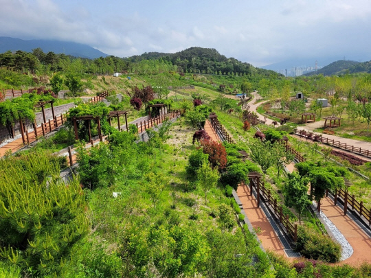부산 해운대수목원 전경. 부산시 제공