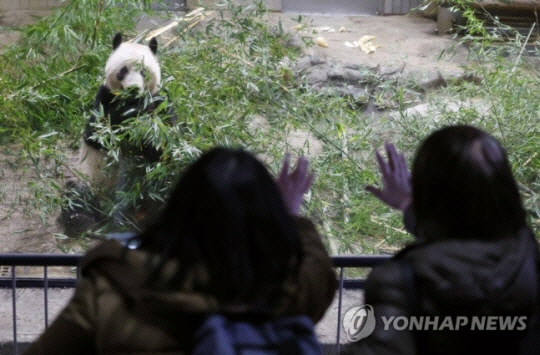 지난 19일 일본 도쿄 우에노동물원을 찾은 일본인들이 자이언트 판다 ‘샹샹’에게 이별인사를 하고 있다.  교도연합뉴스