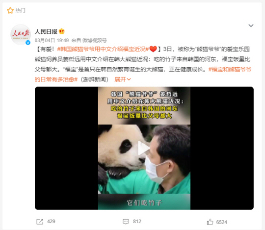 인민일보 웨이보에 게재된 아기판다 푸바오와 강철원 사육사의 인터뷰 영상. 인민일보 웨이보 캡처