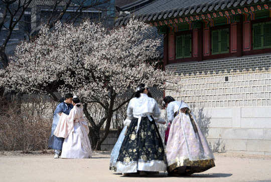 19일 서울 종로구 창덕궁에서 한복으로 단장한 외국인 관광객들이 만개한 매화나무 아래서 즐거운 한 때를 보내고 있다.
