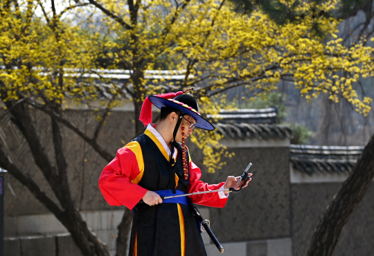19일 서울 종로구 창덕궁에서 구군복으로 단장한 한 시민이 만개한 산수유나무를 배경으로 기념 촬영을 하기 위해 셀카봉을 꺼내들고 있다.