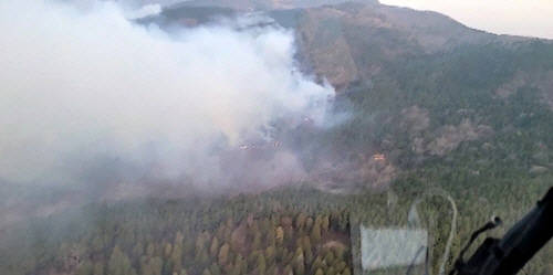 순천 산불 현장. 산림청 제공·연합뉴스