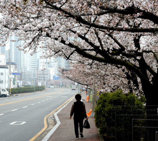봄비가 내린 23일 오전 충북 청주시 상당구 무심천변에서 한 시민이 길을 걷고 있다. 뉴시스