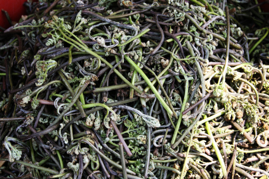 게티이미지뱅크