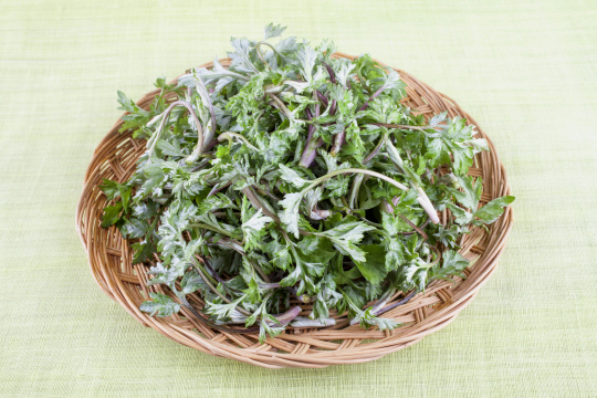 쑥. 게티이미지뱅크